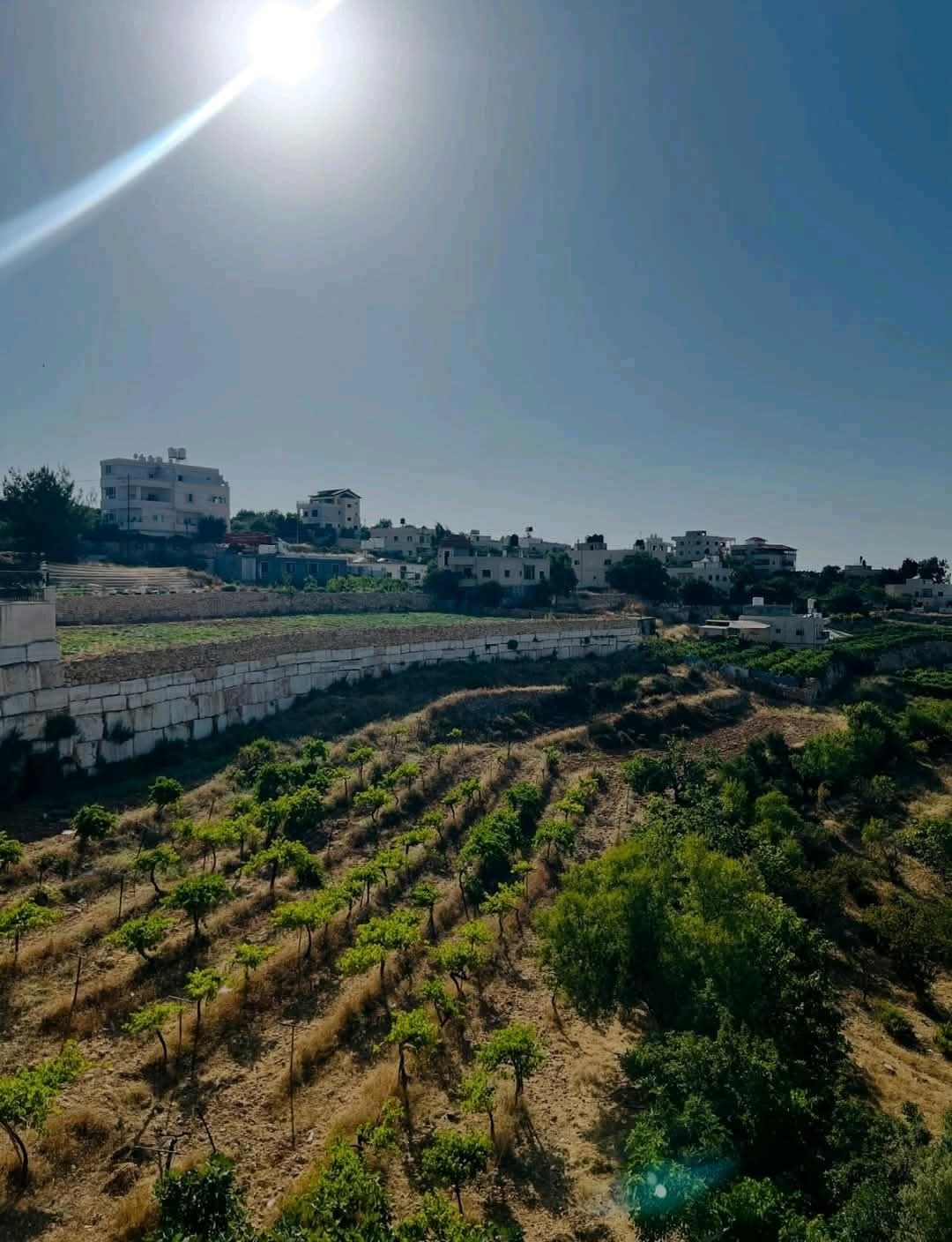 الخليل | موسوعة القرى الفلسطينية